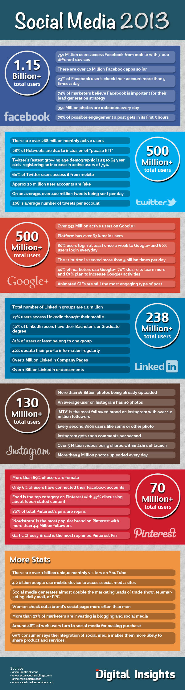 Digital Insights "Social Media 2013" Infographic